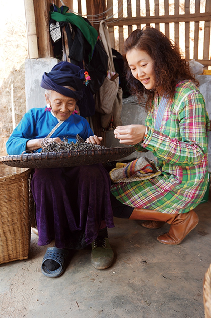 与景迈山上的婆婆一起捡去毛茶里的黄叶.JPG