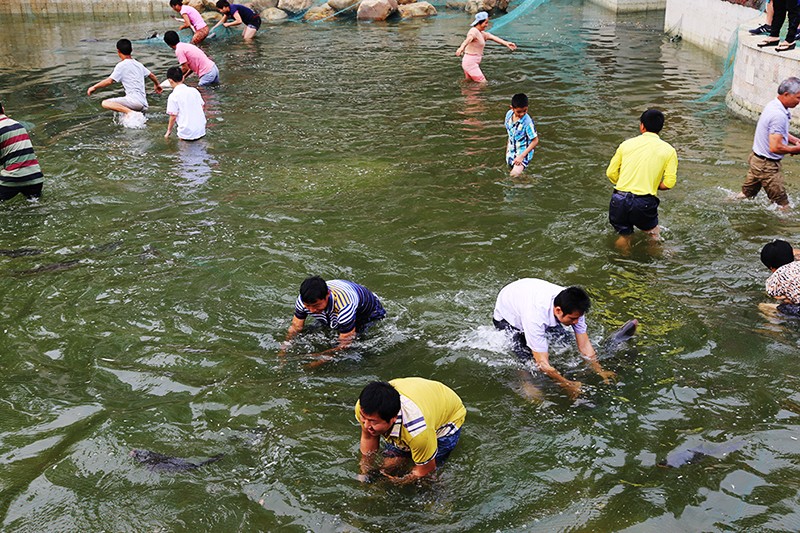 少数民族传统趣味性体育经济活动：摸鱼.JPG