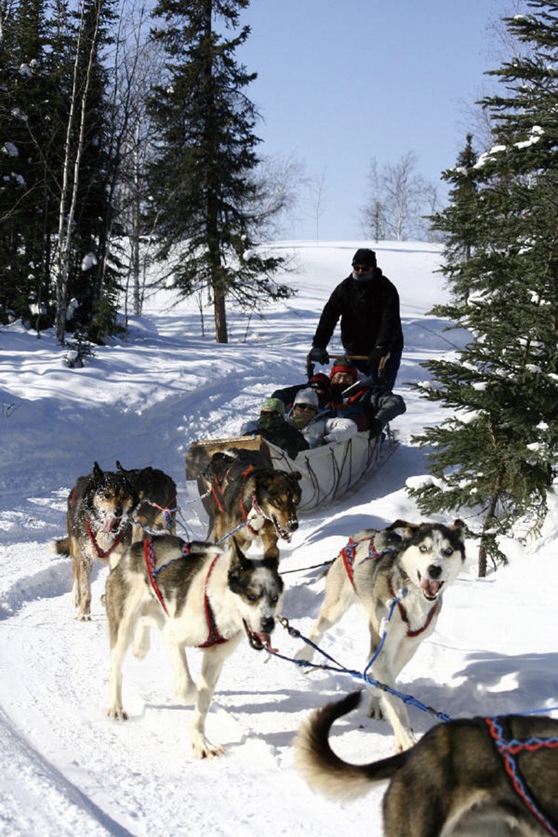 Dogsledding_(Aurora Village) 2x3.jpg