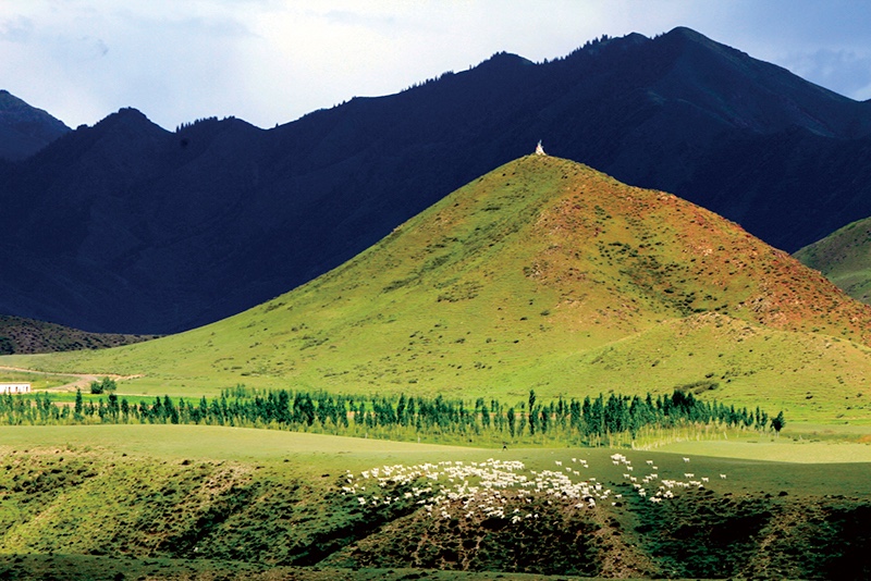 敖包山下白珍珠一样的羊群.jpg