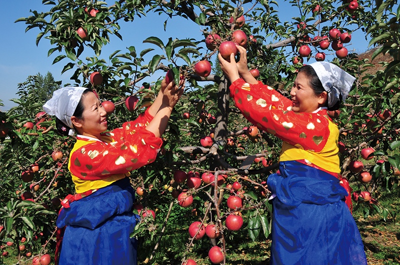 第五届“延边之秋”中国•珲春孟岭苹果旅游采摘节.jpg