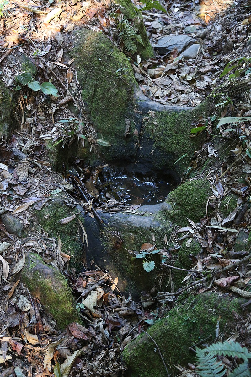 8、高黎贡山中的马踏青石古道.jpg