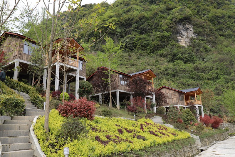 阿坝州汶川县三江镇龙竹村农家旅馆“银杏小筑”_副本.jpg