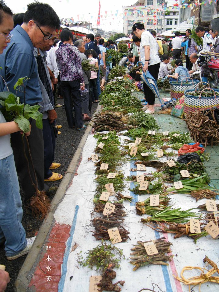 靖西端午药市节.jpg