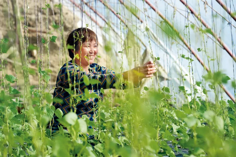 4. 疫情防控期间，更要重视组织农业种植户做好蔬菜管护和育苗栽培工作，保障“菜篮子”产品稳产保供。图为2020年3月3日，新疆生产建设兵团第十师一八三团设施农业种植户正在管护蔬菜。人民图片 陈洋 摄.webp.jpg