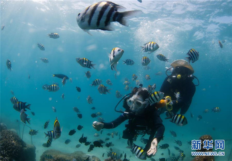 5. 游客在分界洲岛海域体验潜水（2019年7月20日摄）。新华社记者 杨冠宇 摄.jpg