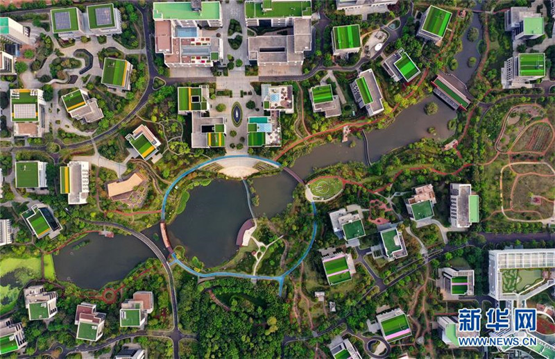 8. 这是海南生态软件园园区（4月1日摄，无人机照片）。新华社记者 郭程 摄.jpg