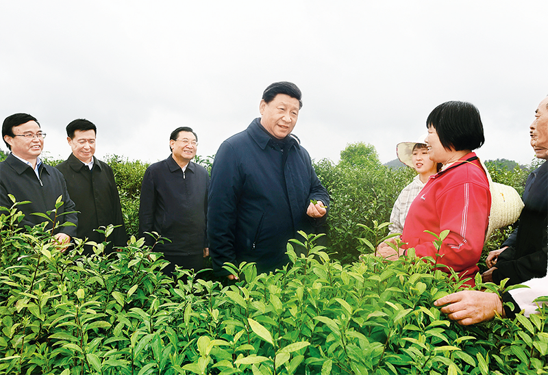 6. 2020年4月20日至23日，中共中央总书记、国家主席、中央军委主席习近平在陕西考察。这是4月21日，习近平在安康市平利县老县镇蒋家坪村女娲凤凰茶业现代示范园区，同茶农们亲切交谈。 新华社记者 谢环驰 摄.png