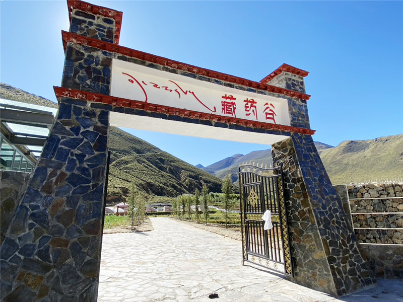 138.jpg