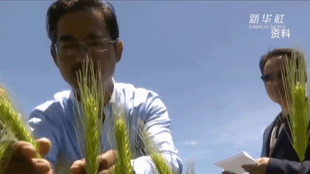 2.gif